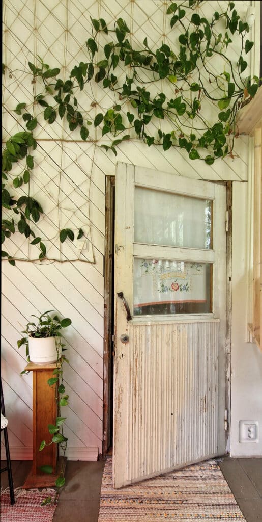 Kuva patinoituneesta vaaleasta ovesta, jota ympäröivä seinä on vinolaudoitettu.